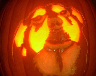 Mary Kish of Springfield Township carved a picture of her dog, Gordon, into this pumpkin.