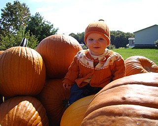 Kennedy Henderson, daughter of Todd and Jacey Henderson of Poland. Photo taken at Whitehouse Farms.
 

                               