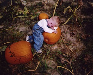 Logan Sebastian, 2 1/2, rests on his pick of pumpkins. The photo was sent in by his grandmother, Denise Sebastian of Canfield.