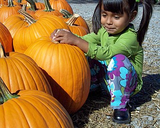 Colleen Ruggieri of Canfield sent this shot of her daughter, Maya Rose Ruggieri, at Park's nursery.