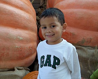 Ryan Antonio Ruggieri seems to love the giant pumpkins at Park's nursery. His mom, Colleen Ruggieri of Canfield, sent the photo.