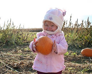 Jaime Jean Hoefert, 19 months, loves pumpkins and gourds. She had a blast picking them out of the
pumpkin patch at Detwiler farms, said her mother, Sarah, of North Lima.