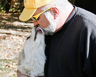 Marc DeBolt of Newton Falls shares a tender moment with Shadow his Arctic Wolf in the backyard of his Newton Falls home.