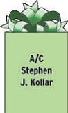 A/C Stephen J. Kollar
353 MXS
PSC 80 Box 17294
APO AP 96367
Son of Jaki and Steve Kollar of Columbiana and grandson of Peg Kollar of Struthers.