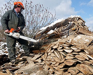 Bill Spithaler of Gustavus Hardwoods cuts firewood. 