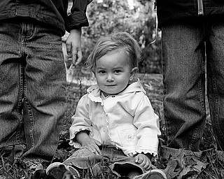Here is a shot of our three kids Nicholas (6), Hannah (16 mos), and Alex (3)
LaPlante of Poland taken by their dad (John) while raking leaves a few weeks
ago. Although they get into an occasional argument as any siblings do,
these three love being together (even though you can't see the boys in this
one :-).
Thanks for such a great feature!
Laurie LaPlante