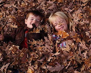 Gracie Pesa, 4, of Liberty and her cousin, Thomas Pesa, (2 1/2, from California, play in their Grandma Carole's (Youngstown) yard taken by Thomas Pesa (Dad to Thomas and Uncle to Gracie).
Thanks, Michael Pesa