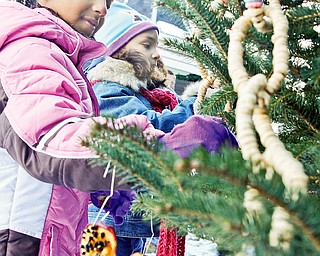 CLASS WORK: West Boulevard Elementary second-graders Ahmara Grace, 8, and Salina Jackson, 7, of Boardman decorate their class tree in Boardman Township Park for the 12th annual Boardman Community Christmas.