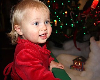 We are attaching a picture of our little girl Payton (17 mos.). This picture shows the joy on Payton's face as she was experiencing Kraynak's for the first time. She couldn't get enough of all the lights and decorations.
Happy New Year!!!
Chad and Alyson Zwingler
Columbiana