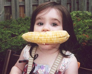 Phyllis Olson of Poland captured this shot of her little friend, Coco Aurini, 2, of Michigan, who was enjoying her first corn on the cob.