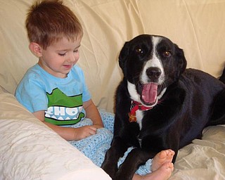 GRANDSON ANDREW MORAN 2 WITH TALLY, BORDER COLLIE MIX, ALSO 2.
FROM JIM HICKOK OF CANFIELD