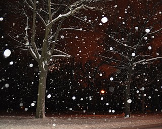 Wick Park in Youngstown