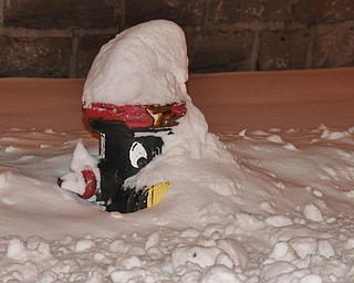 A Youngstown State University fire hydrant bearing the likeness of Pete the Penguin peeks outs through the snow.
