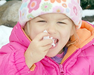 Lindsay Jones, 3 1/2, daughter of Sally Jones of Canfield, snacks on some snow.