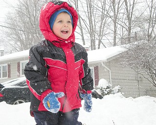 Matthew Rolley, 3, of Austintown, gave Grandma Barb Rolley another focus.
