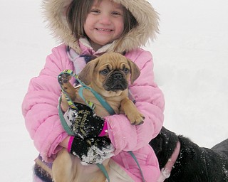,Taylor Aquisto, 6, of Boardman gives new puppy, Rufis, her first experience with snow.