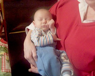 Vas Krinos would rather nap through winter, according to Dad, George Krinos.