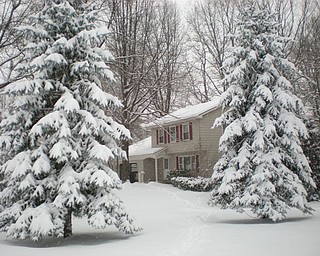 Barb Rolley found this view of Bryant Drive in Austintown.