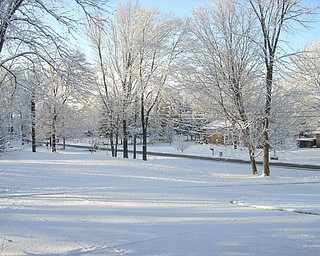 Barbara A. Moore snapped this show in Neshannock Township near New Castle, Pa.