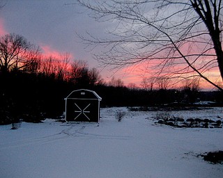 Who needs Florida? This backyard sunset on a cold day in Coitsville chased Pat Fitch's shivers away!