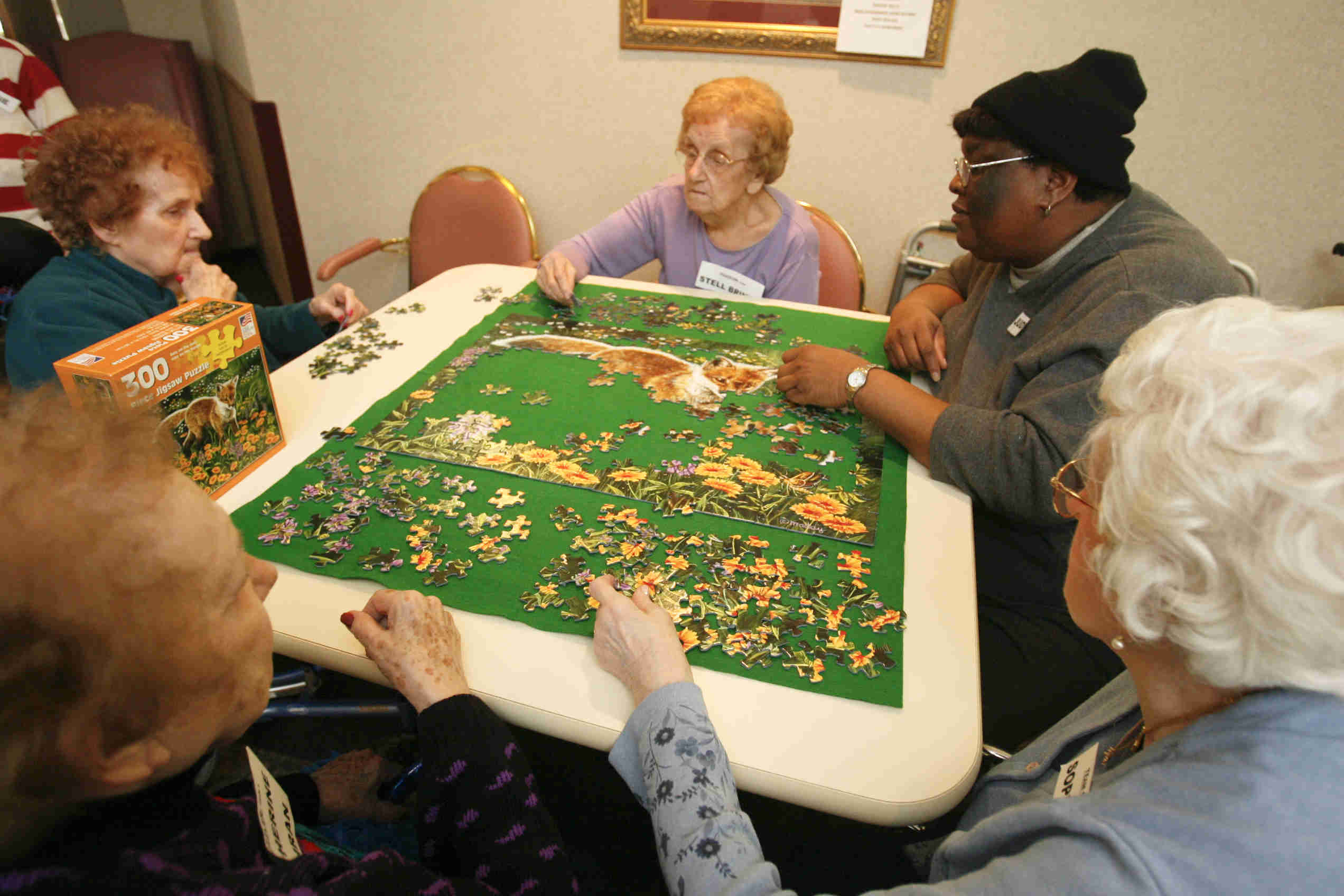 from the bottom - Cathryn Cochran - Barb Jenkins -( far left)  Stella Brinko - Judy Hollis ( hat)  and Sophia Bush as they work away on a puzzle at Beeghly Oaks in Boardman- robertkyosay