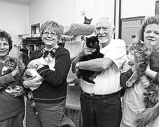 <p>The Vindicator/Robert K. Yosay</p>
<p>PURR-FECTLY CONTENT: Among the cats now available for adoption at Second Chance Animal Rescue are these four furry felines that are cuddled by, from left, Helen Dolak, Debbie Morgan, Roy R. Reese Sr., and Kelly Turner, shelter volunteers. </p>
