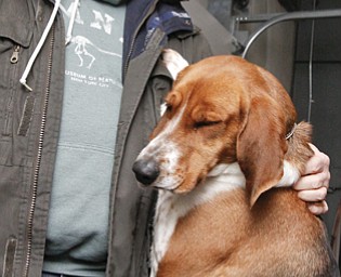 Megan Anderson and Bob Urban take their show dogs to NYC