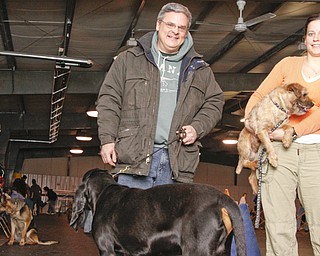 Megan Anderson and Bob Urban take their show dogs to NYC