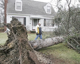 Tree down on Trenholm Rd. in Boardman.