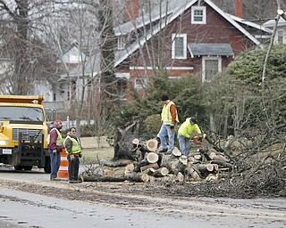Mahoning County Workers clear a tree that fell during heavy winds early thursday morning and took down wires and blocked Indianola in Boardman- crews were busy all night cleaning the roads and rehanging wires - robertkyosay