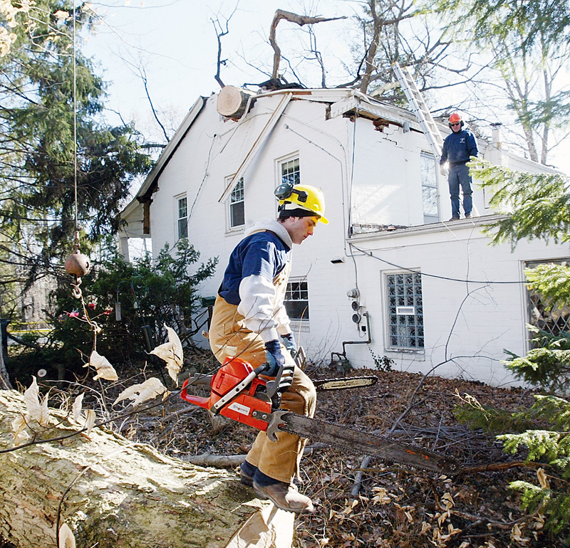 Workers from Stride Tree Service remove a large Maple tree from a house on Lee Run in Poland Wed. High winds felled the tree about 4:45 am. The owners Dick and Sharon Wade were home at the time but were not injured. 