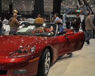 Chevrolet Corvette at the 2009 Cleveland Auto Show