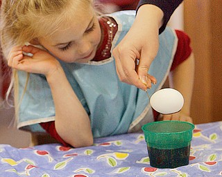 WHITE OUT: Cianna Crawford watches as her egg dips down into the color fluid with the help of a teacher - as Preschoolers decorate Easter Eggs at New Life Christian Preschool, 2250 E. Western Reserve Road Poland.