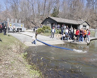 Ohio Division of Wildlife releases 2500 Rainbow trout into Lake Glacier Thursday, April 9, 2009. Spectators and fisherman gather.