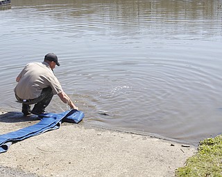 Ohio Division of Wildlife releases 2500 Rainbow trout into Lake Glacier Thursday, April 9, 2009. Spectators and fisherman gather.
