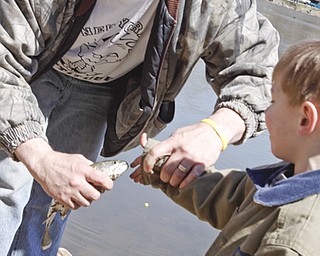 Ohio Division of Wildlife releases 2500 Rainbow trout into Lake Glacier Thursday, April 9, 2009. Spectators and fisherman gather.
