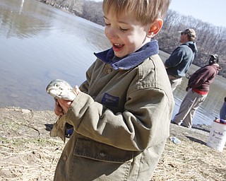 Ohio Division of Wildlife releases 2500 Rainbow trout into Lake Glacier Thursday, April 9, 2009. Spectators and fisherman gather.