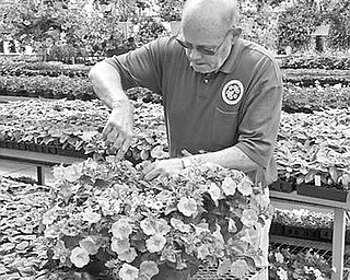 Special to The Vindicator