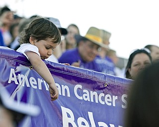 Gaven Nagy (2) of North Lima hangs over the banister at Relay for Life in Boardman. His grandmother, Maria Neopolitan, is a 27 year survivor of cancer.