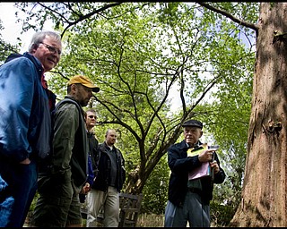 5.10.2009
TREE LORE
Richard "Dick" Smith, right a volunteer at Fellows Riverside Gardens for some 20 years and a tour guide for four, tells participants in a guided tour about the Dawn Redwoods in the gardens. From left are Greg Repasky of New Springfield, Gary Evankovich of Boardman, Matt Zeller of West Middlesex, Pa., and Matt Repasky of Austintown. Smith said the tree is not a true redwood but may be an ancestor of California redwoods.