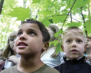 Poland Union School Kindergarten students Justice Garcia, left, and Sam James, right, during dedication of Wild School site at their school Tuesday.
