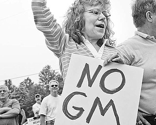 Mary Ann Hudzik of warren rallys support and a cause as
Delphi Salaried retirees rally for the media as part of their plan to drum up support for pension cuts. at the Larchmont Plant in Warren- robertkyosay