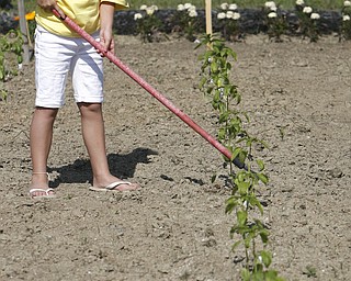 mounding the dirt around the plants at the community garden is Bridget Welsh age 10 as the Jackson- Milton Craig beach - JJC Youth Program Summer Day Camp that opened today in North Jackson - robertkyosay
