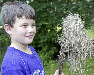 JP Yerian, 8, member of Cub Scout Pack 2 of Poland checks out an empty bird nest he found while attending Cub Scout Day Camp Thursday at Camp Stambaugh in Canfield. wd lewis