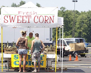 Christa Franklin (25) of Niles and Brandon Lucas (25) of Howland buy sweet corn from Lucas Cummins of Girard at the J & J Concession stand at the Mahoning Valley Rib Burnoff Saturday June 27, 2009
Lisa-Ann Ishihara