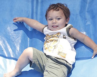 Colton Huff (21 mths) of Cortland glides down an inflatable slide/play area at the Mahoning Valley Rib Burnoff Saturday June 27, 2009
Lisa-Ann Ishihara
