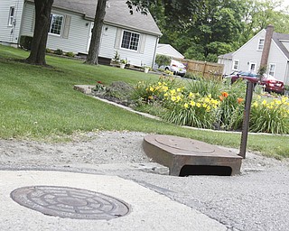 The sewer and storm drains sit close to one another outside Raymond and Diane Matuz's Poland residence. They are upset with the sewege system and extensive, recurrent, damage the rainfall causes. Tuesday June 30, 2009

Lisa-Ann Ishihara