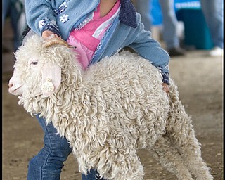 7.1.2009
Emily Henderson, age 6 of Kinsman OH, uses all her strength to move her Angora Goat, Holly, between her and the judge in the Pee Wee Showmanship Class of goat judging during Trumbull County Fair on Wednesday afternoon. Although the category exits largely to teach children the proper way to show their goats in competion, Holly took home second place in the event.
Geoffrey Hauschild