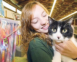 Breanna Naylor, 14, of Mecca holds her cat, Oreo, during 4-H Junior Fair cat judging at the Trumbull County Fair Thursday. Her 17-pound cat is 6 years old.