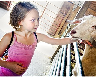 7.5.2009
Lauren Akuszewski, age 8 of Austintown, pets a goat at Mill Creek MetroParks' Farm in Canfield on Sunday afternoon.
Geoffrey Hauschild